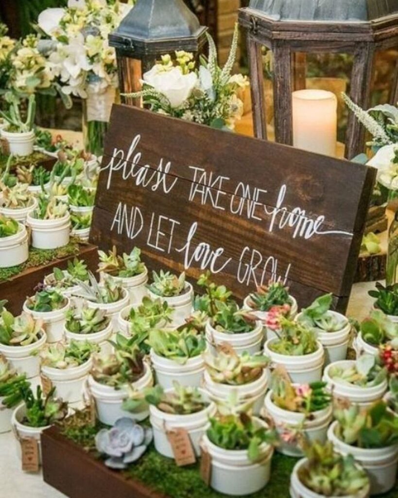 Small potted succulents arranged on a mossy table with a wooden wedding sign.