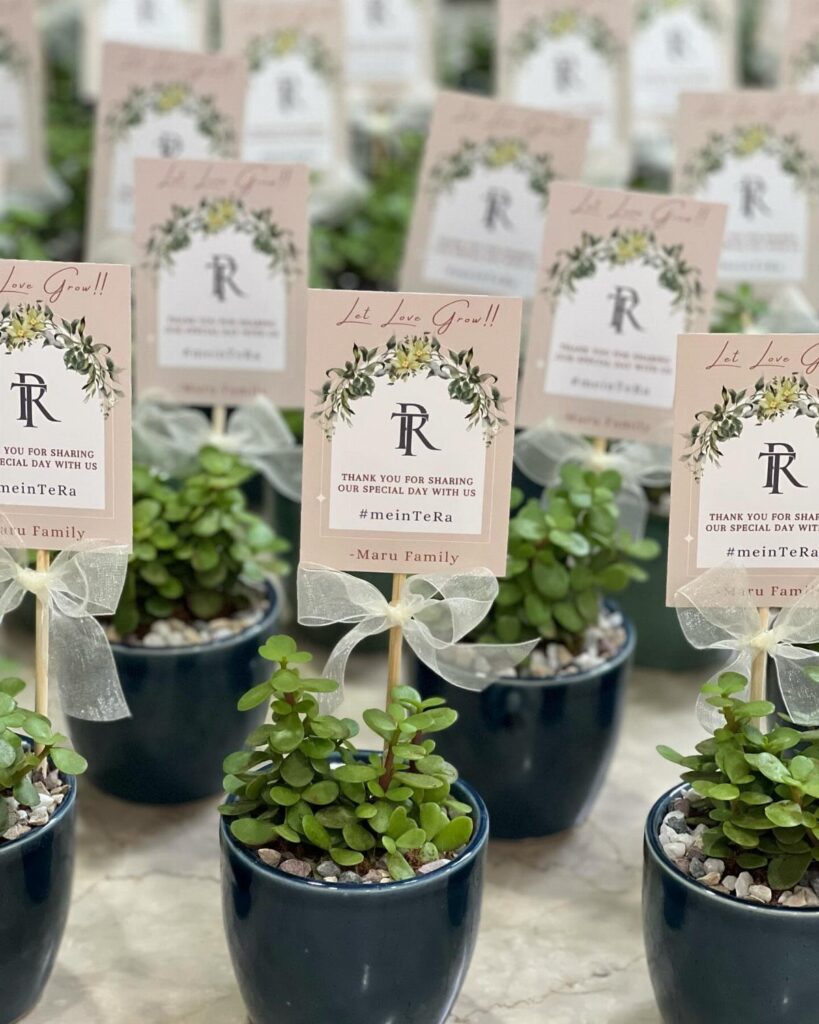 Small green succulents in dark blue pots with personalized wedding favor tags.